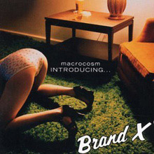 Macrocosm - Introducing... Brand X