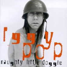 Naughty Little Doggie